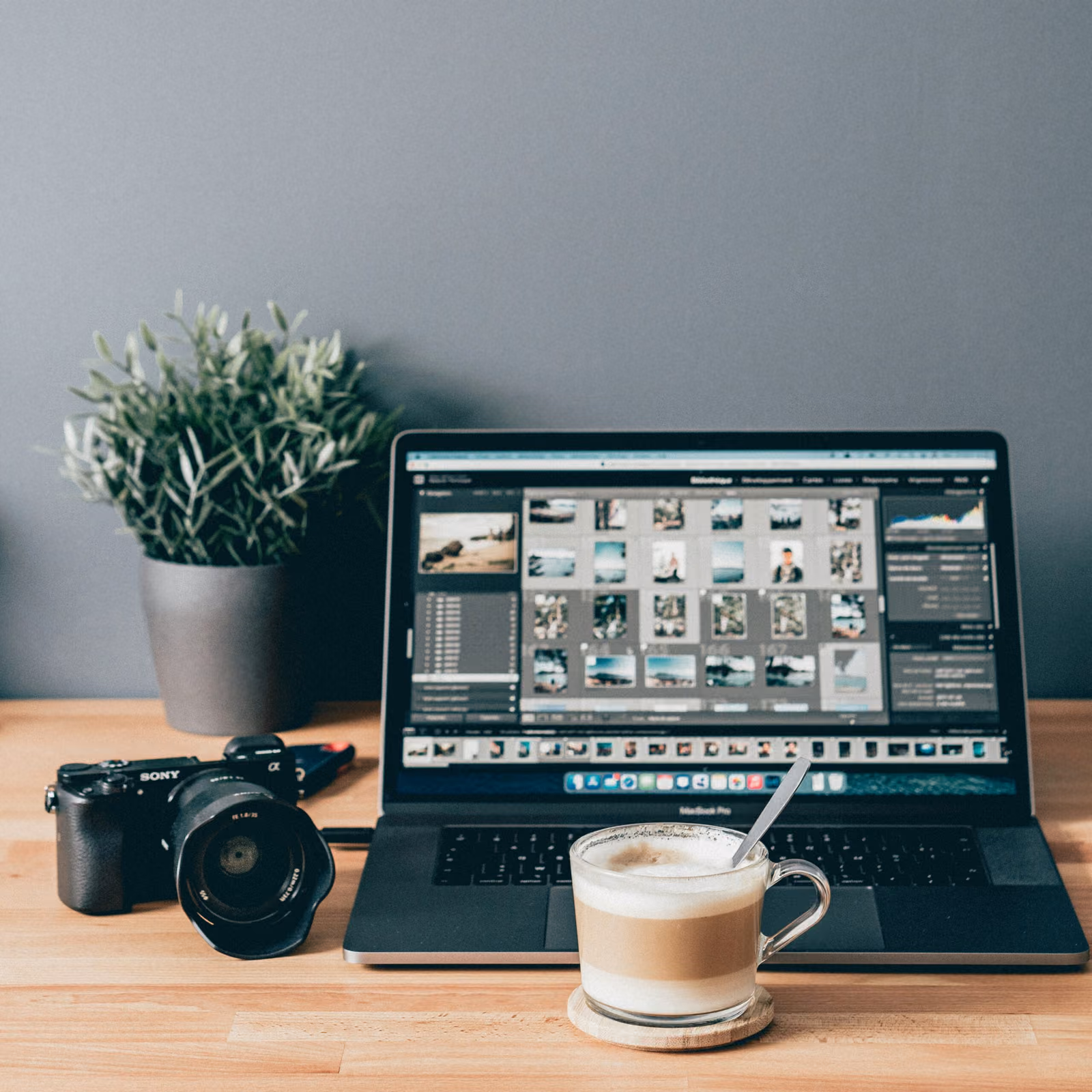 Image Processing Software