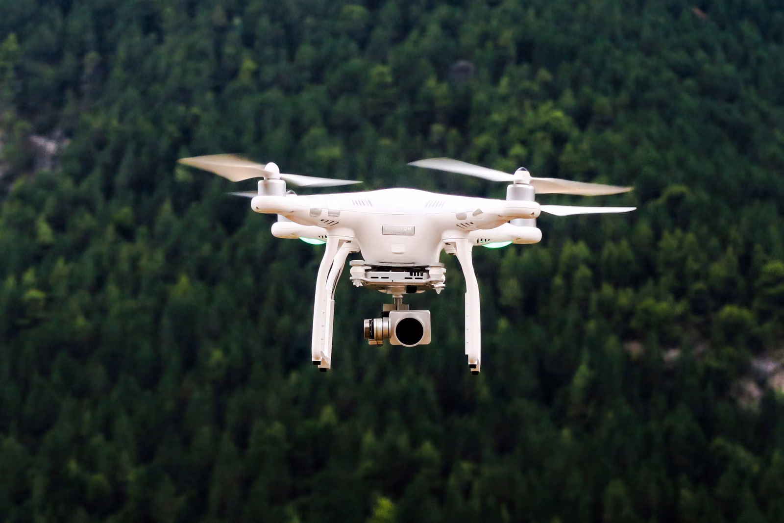 tree-counting-software-tools-ai