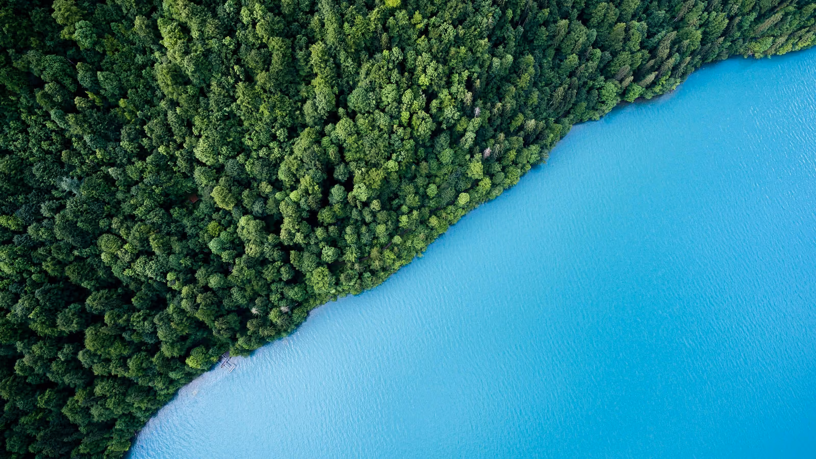 Überwachung von Wasserqualität und Feuchtgebieten