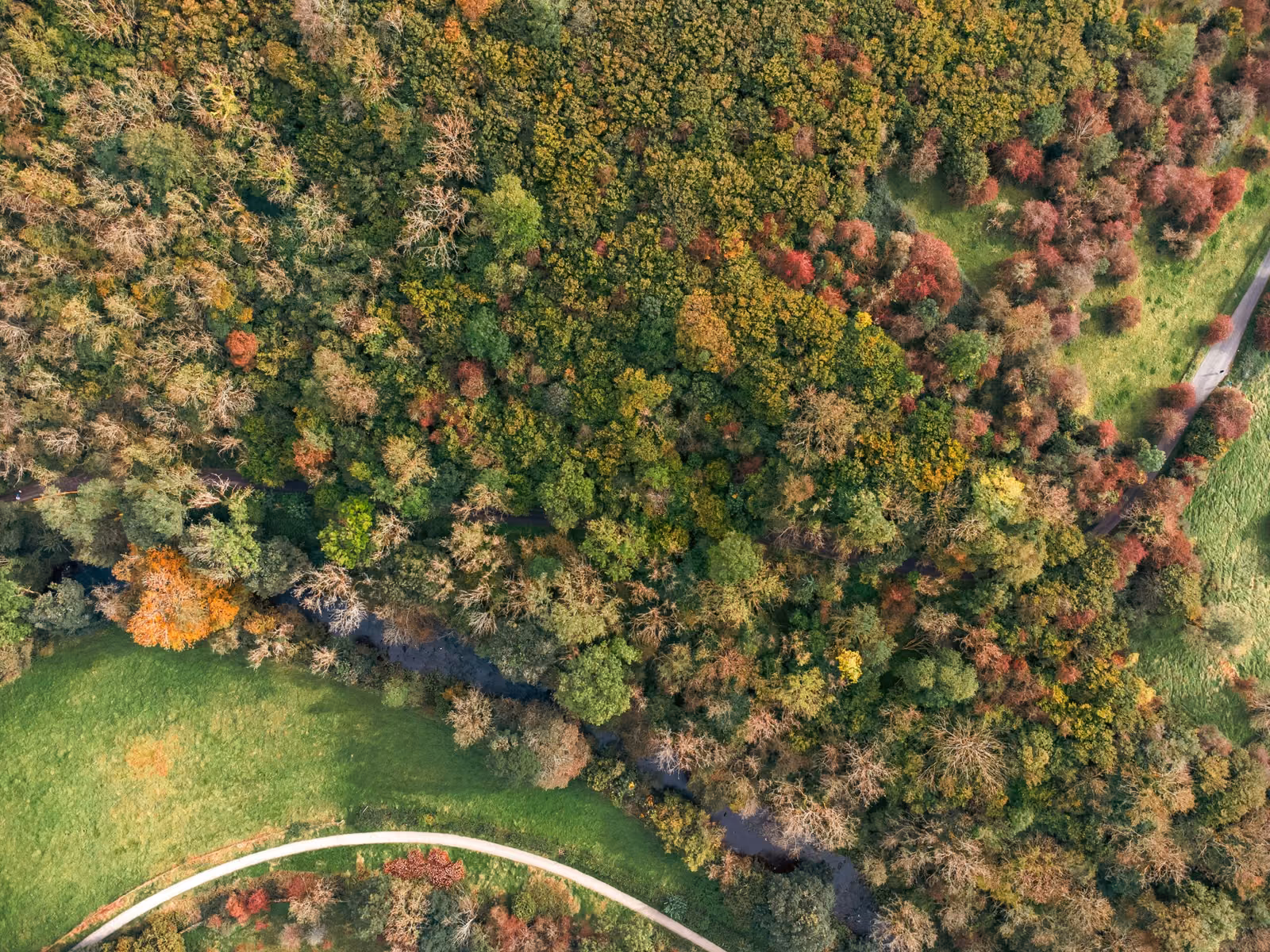 Biodiversitätsmonitoring und Schutz von Lebensräumen