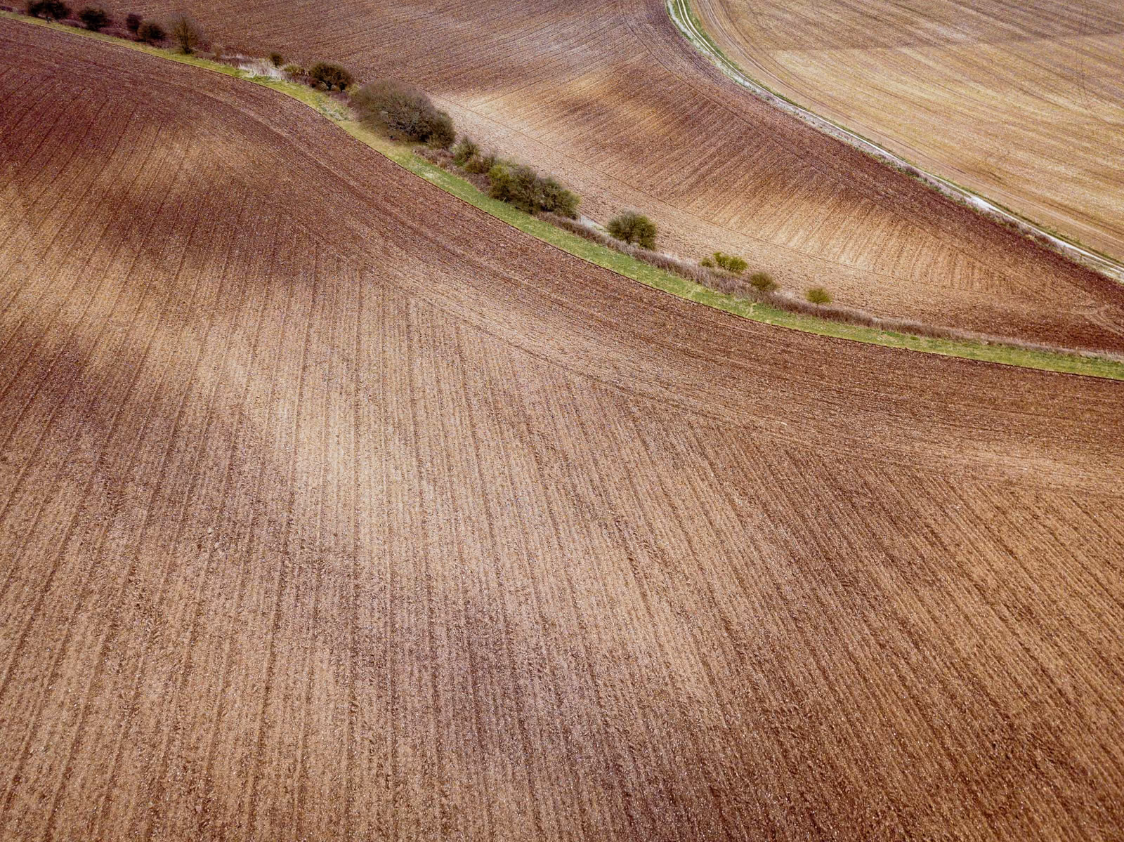 Ertragsprognose und Ernteplanung