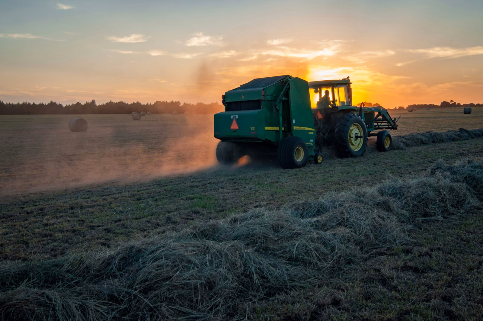 Automatisiertes Crop Scouting und Schädlingserkennung