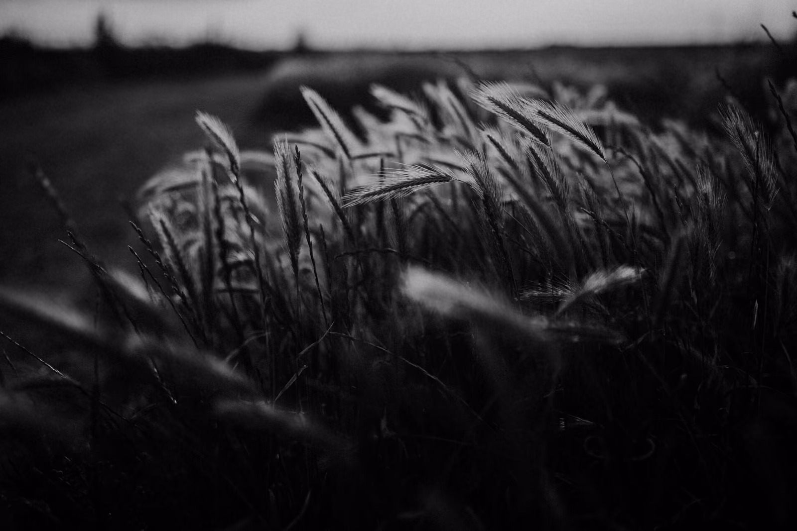 phil-hearing-kDwoGtsvdtM-unsplash
