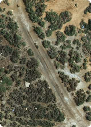 इको-टेक्नोलॉजी: aerial imagery analysed with AI