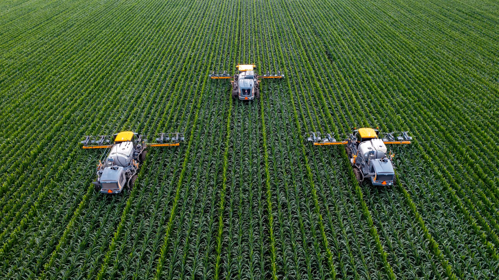 Crop Scouting Companies