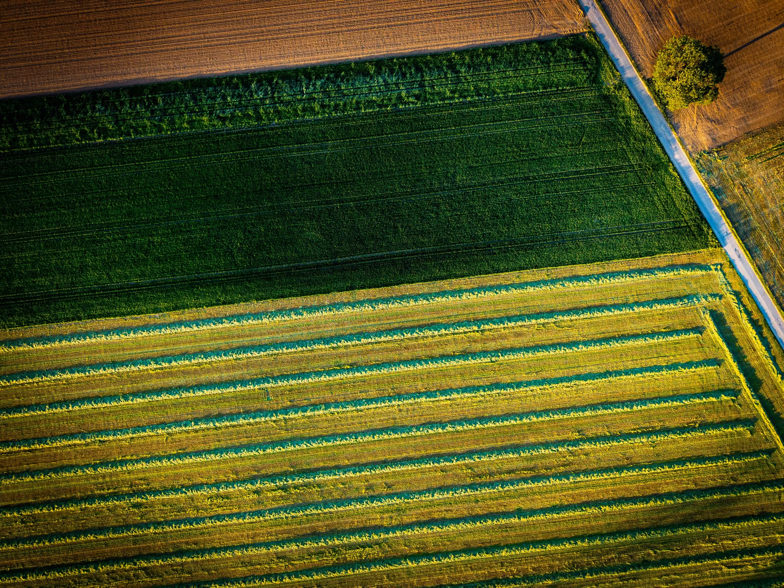 bernd-dittrich-Wp6qAlG-Hao-unsplash (1) (1)
