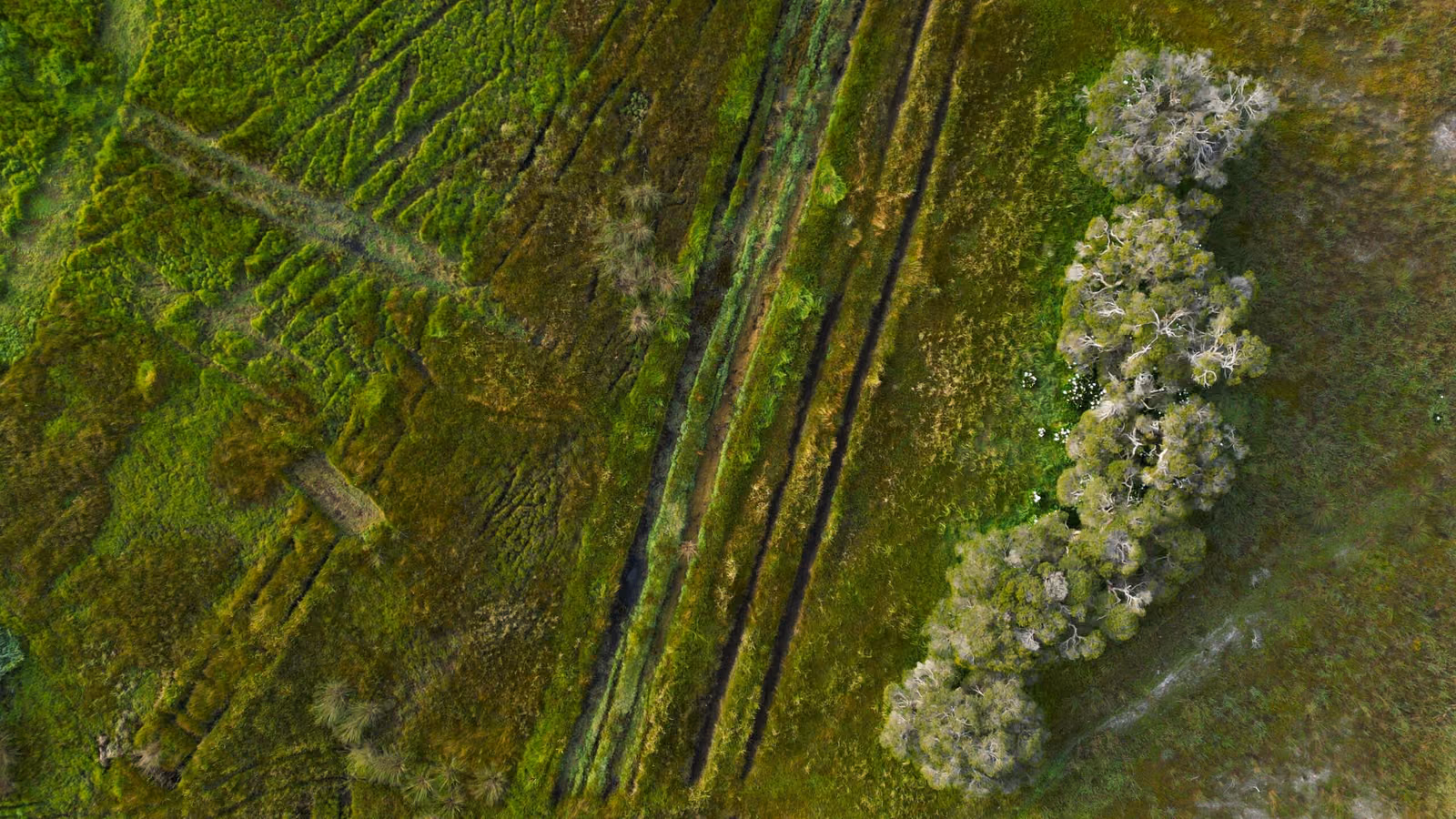 ian-7ZwBhSwI9So-unsplash