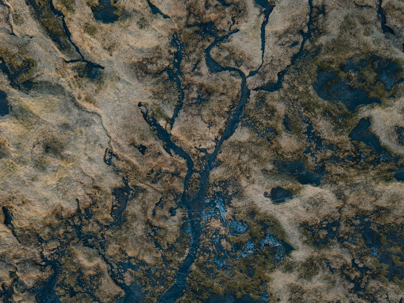 annie-spratt-bFCMqHn6Tz4-unsplash