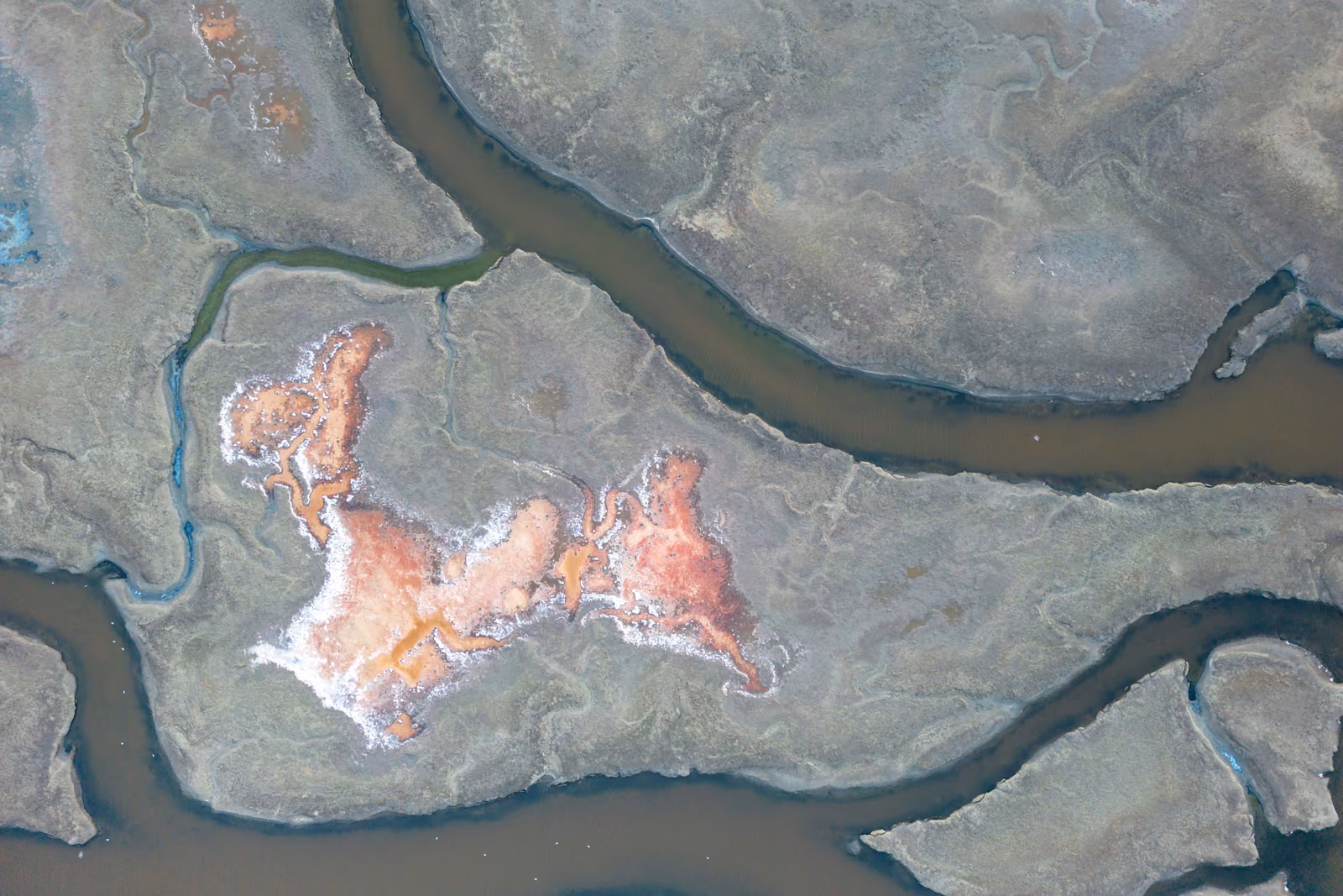 zetong-li-wwX8a_4n1io-unsplash