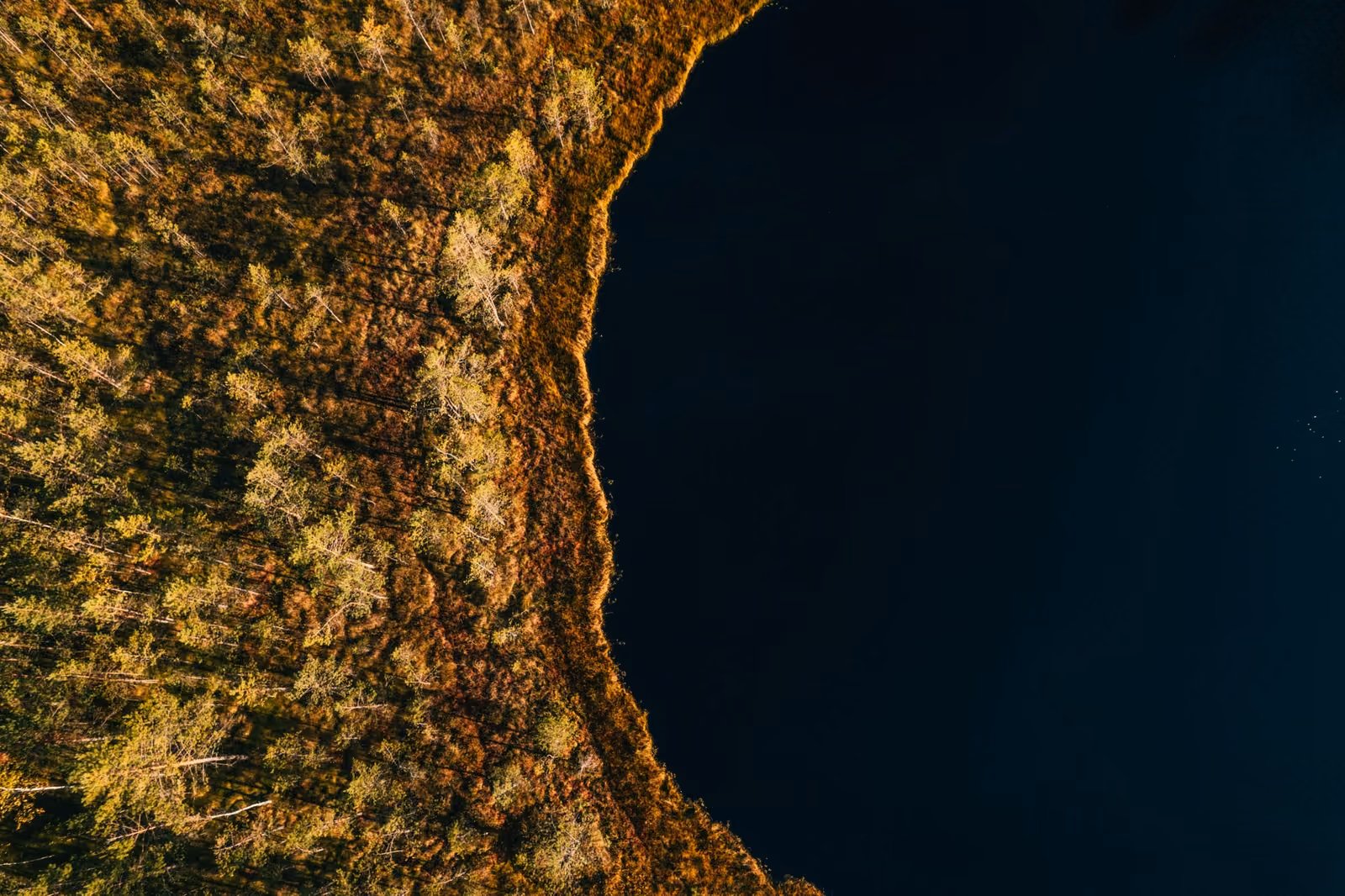 ivars-utinans-5wLCKfzgI2k-unsplash