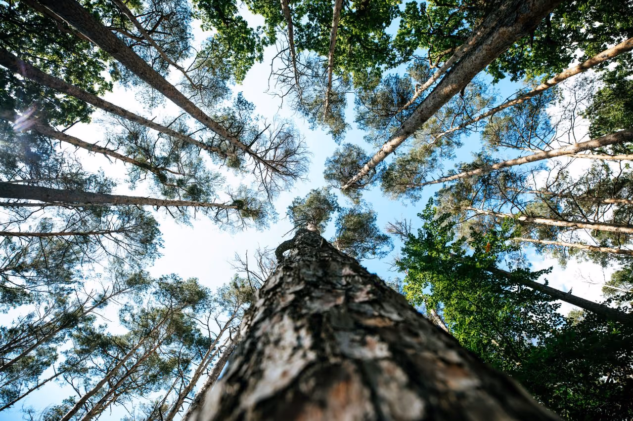 markus-spiske-Y-YaTBtNzKo-unsplash (1)