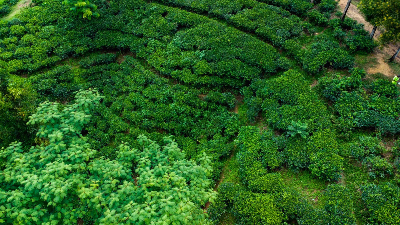 md-rumon-munshi-zzUTACsJZ80-unsplash (1)