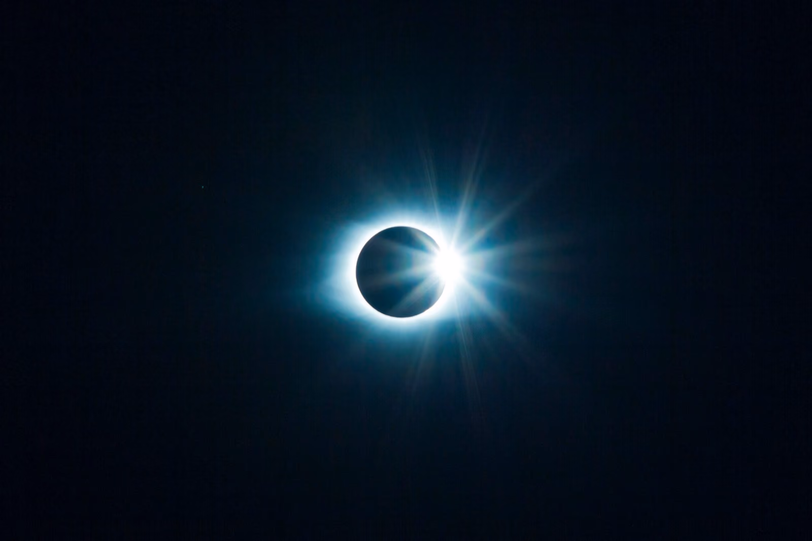 tyler-van-der-hoeven-_ok8uVzL2gI-unsplash
