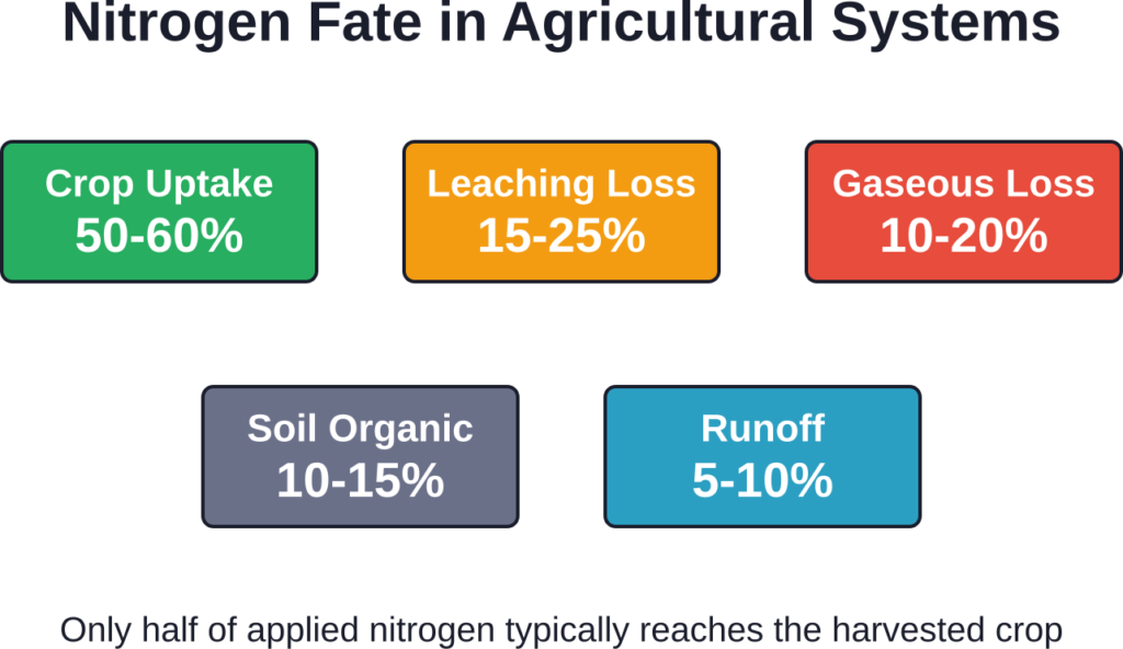 Distribution of applied nitrogen fertilizer showing major uptake and loss pathways in typical agricultural systems