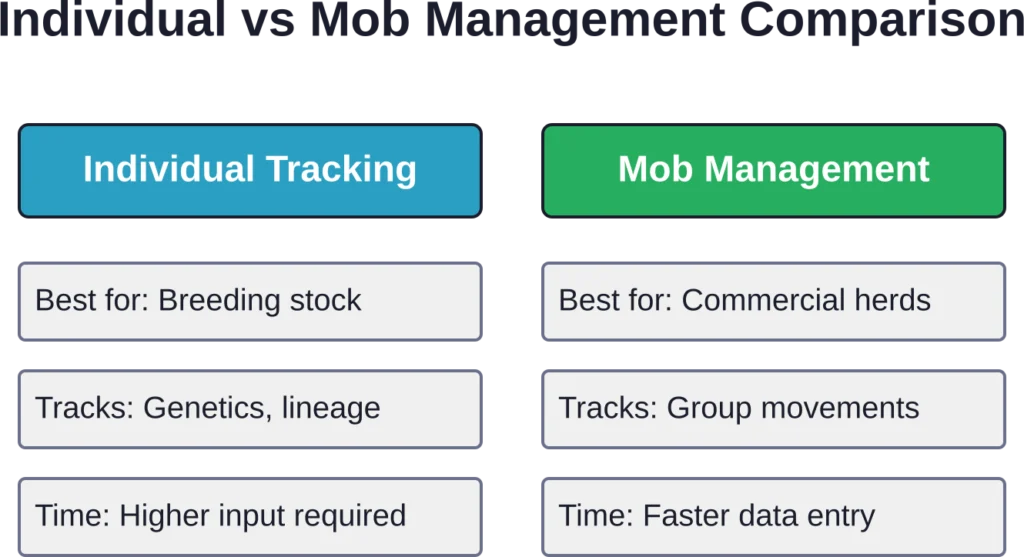 Key differences between AgriWebb's two animal management approaches help ranchers choose the right method for their operation type.