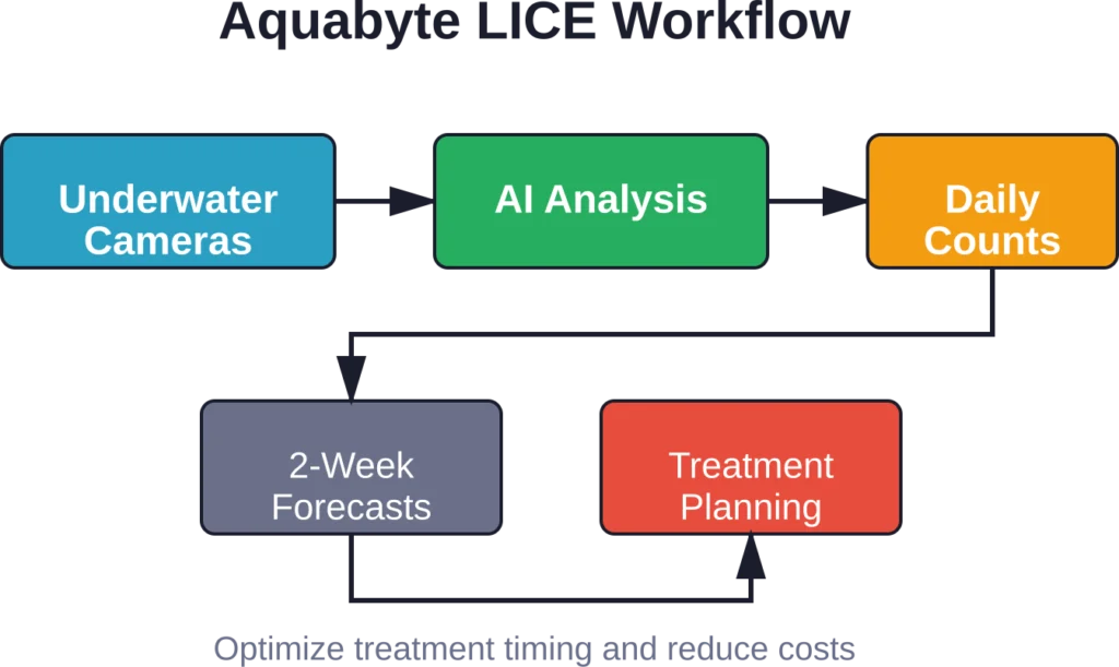 Aquabyte's automated workflow eliminates manual fish handling while providing continuous monitoring and predictive insights for treatment planning.