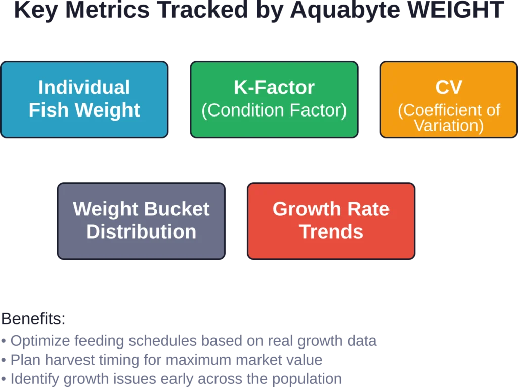 Aquabyte WEIGHT tracks multiple interconnected metrics that inform feeding, welfare, and harvest decisions throughout the production cycle.