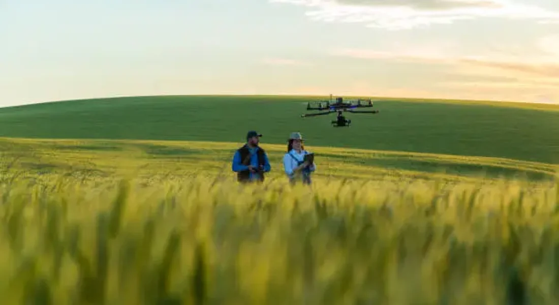 Best Crop Monitoring Software and AI Tools for Smarter Farming