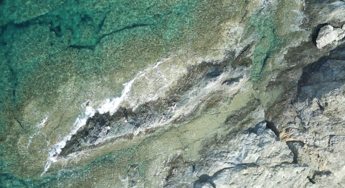 alessandro-brunello-rVyxnA-HfXE-unsplash