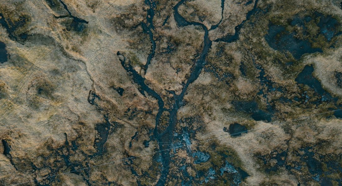 安妮·斯普拉特-bFCMqHn6Tz4-unsplash 安妮·斯普拉特-bFCMqHn6Tz4-unsplash