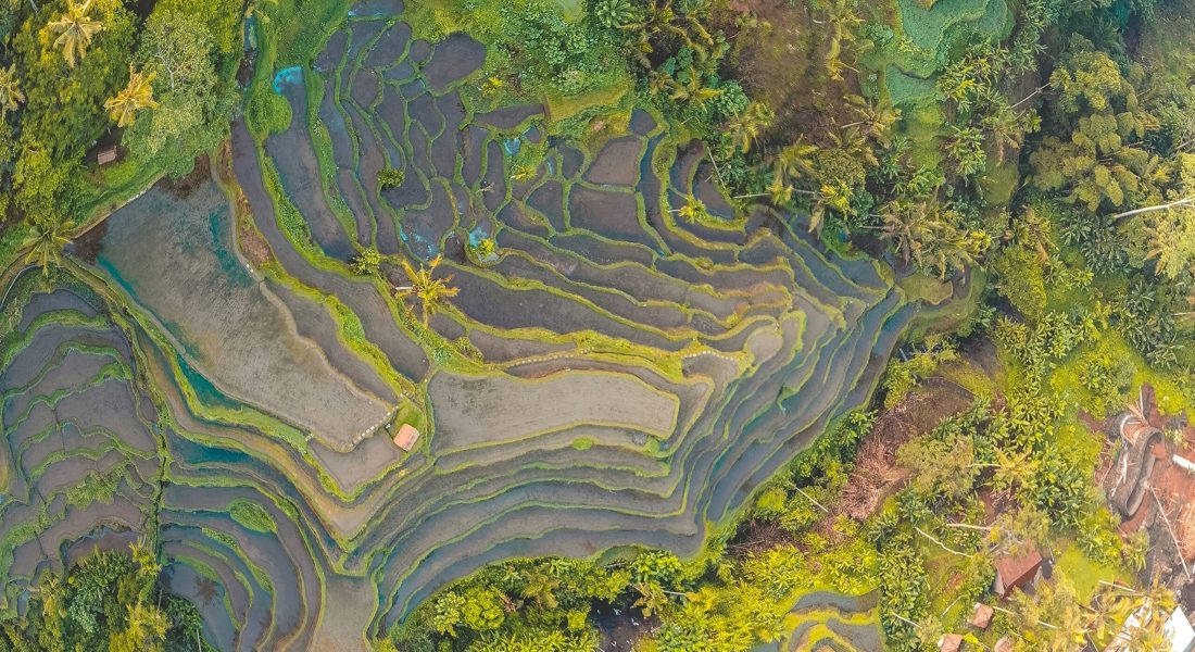 carles-rabada-FiKd4VUDsPs-unsplash carles-rabada-FiKd4VUDsPs-unsplash