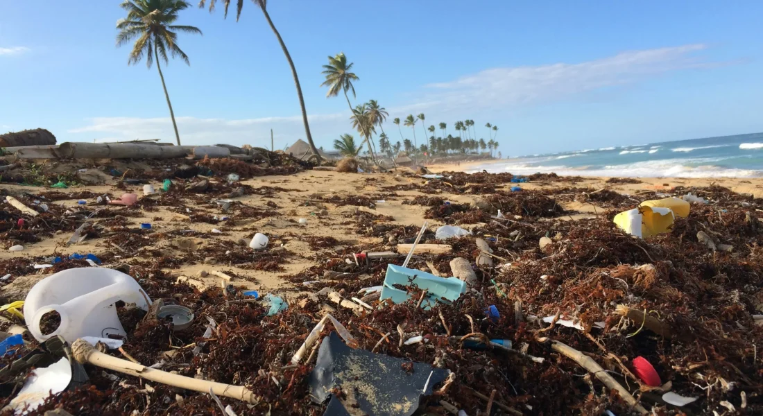 داستان-وودهاوس-RUqoVelx59I-unsplash