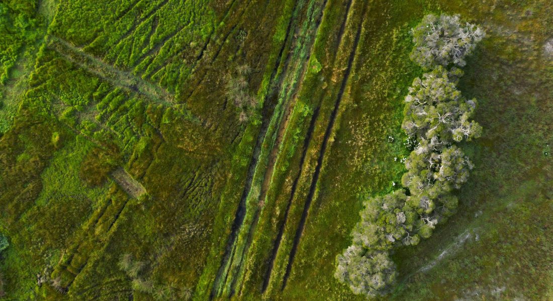 ian-7ZwBhSwI9So-unsplash ian-7ZwBhSwI9So-unsplash