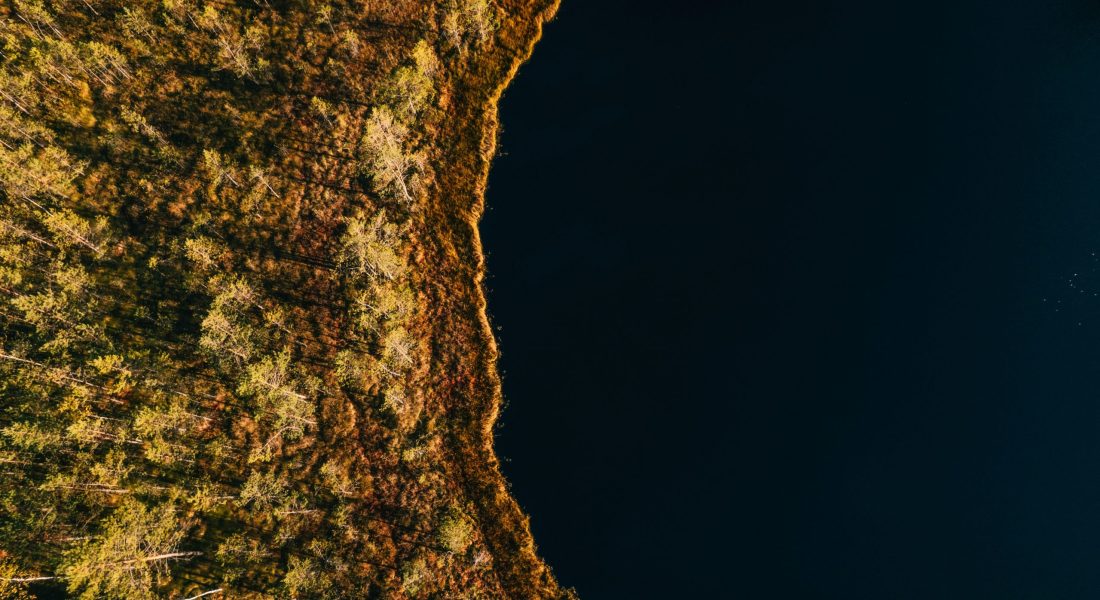 ivars-utinans-5wLCKfzgI2k-unsplash ivars-utinans-5wLCKfzgI2k-unsplash