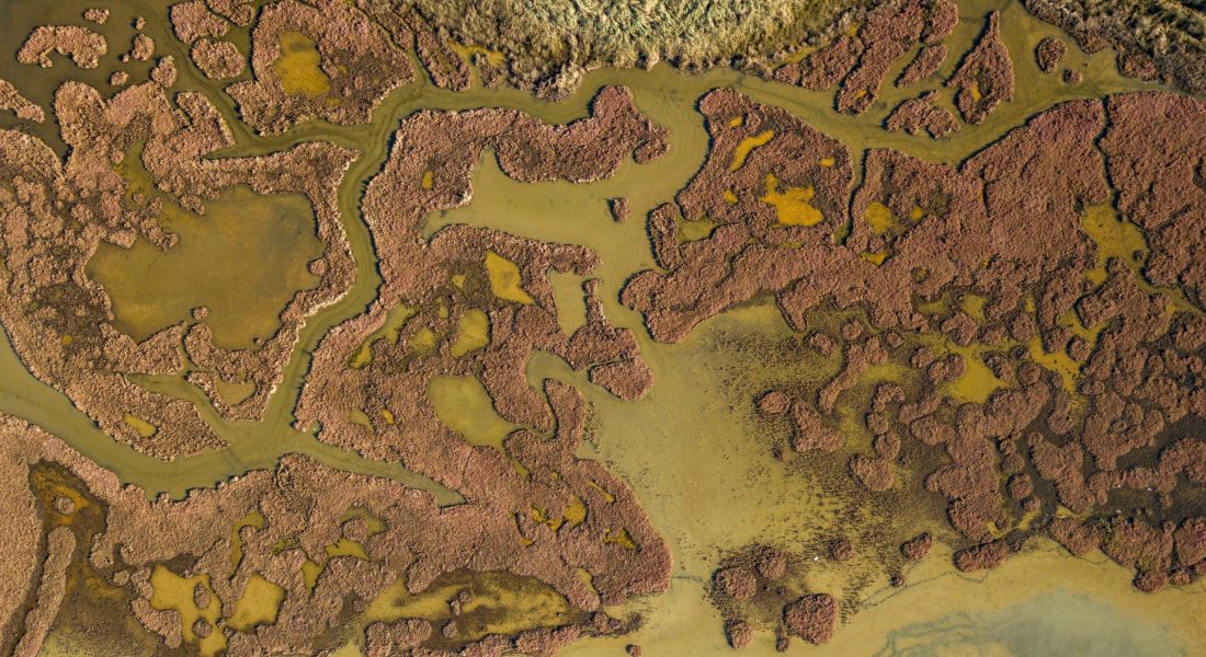 manos-koutras-jpOQP6jLb24-unsplash manos-koutras-jpOQP6jLb24-unsplash