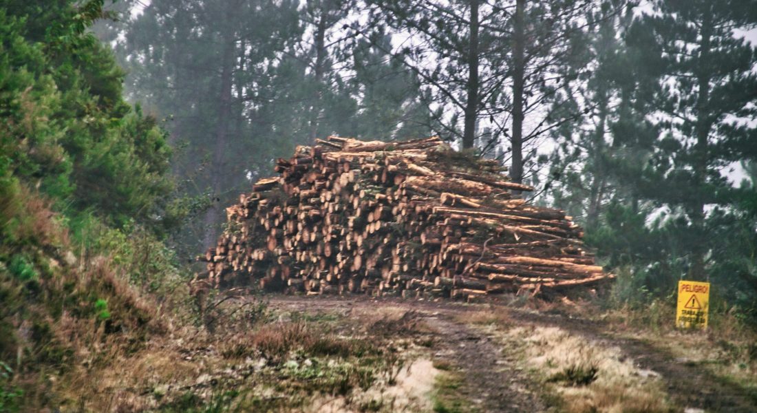 manuel-lopez-ROWGJcNnpLw-unsplash