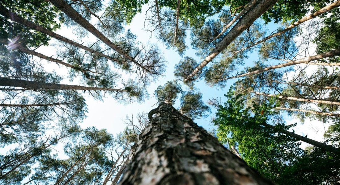 markus-spiske-Y-YaTBtNzKo-unsplash (1)