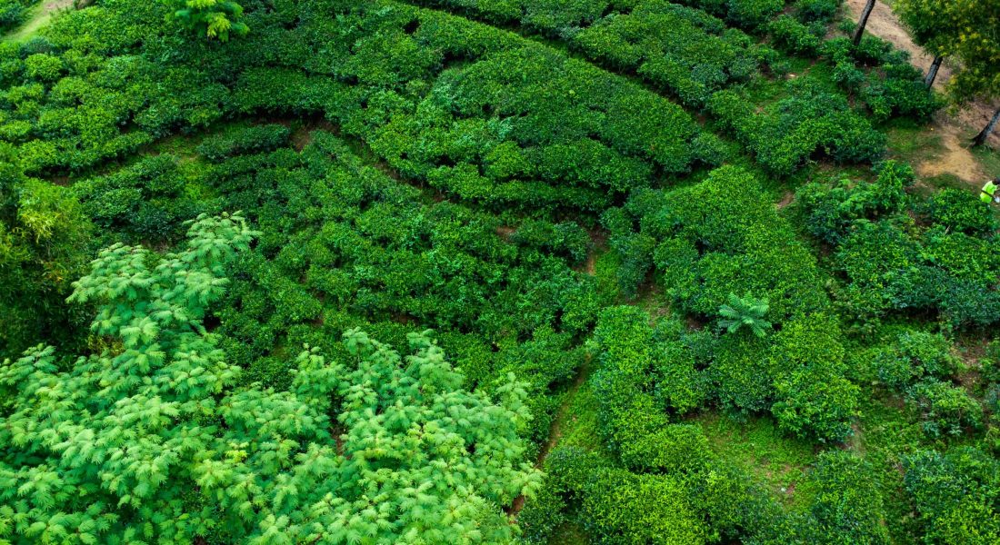 md-rumon-munshi-zzUTACsJZ80-unsplash (1)