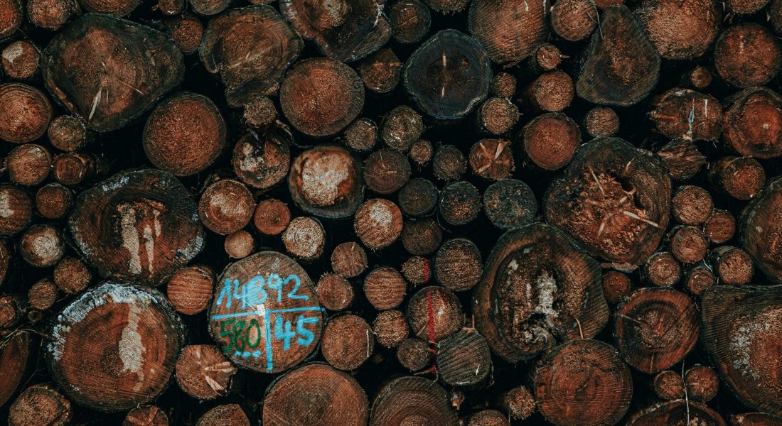 michael-oeser-8eRyIvozRg4-unsplash michael-oeser-8eRyIvozRg4-unsplash