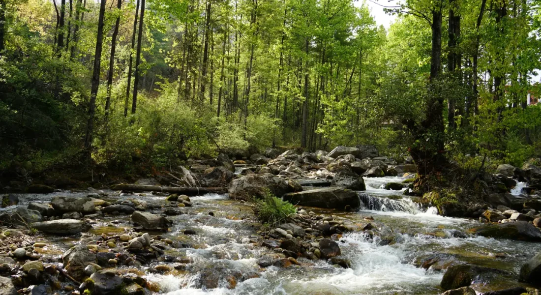 pema-gyamtsho-8BqcqLhs8co-unsplash (1)