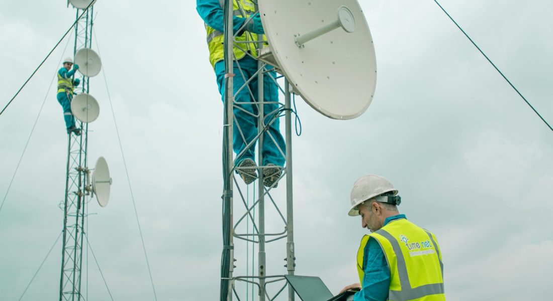 pexels-esmihel-15483316