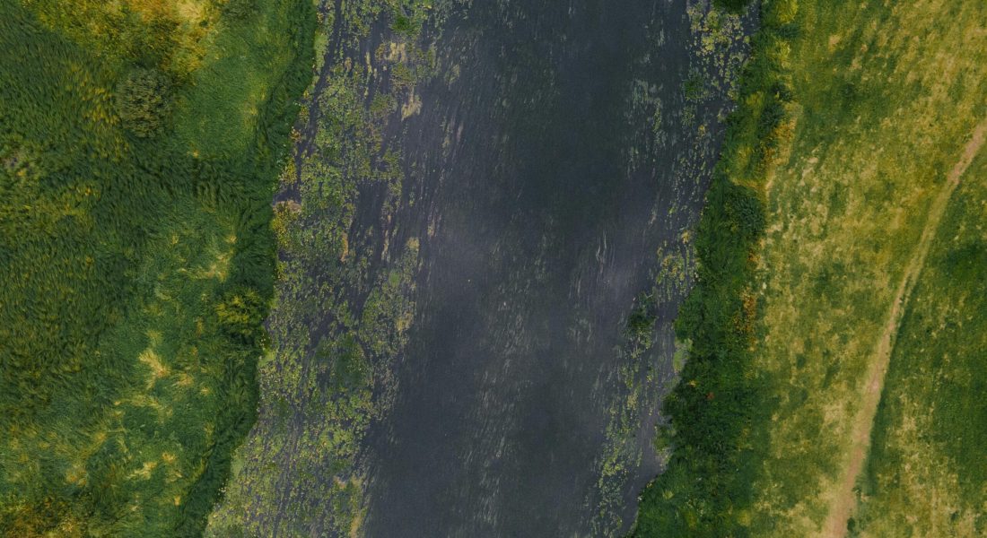 pexels-maksgelatin-9871720 pexels-maksgelatin-9871720