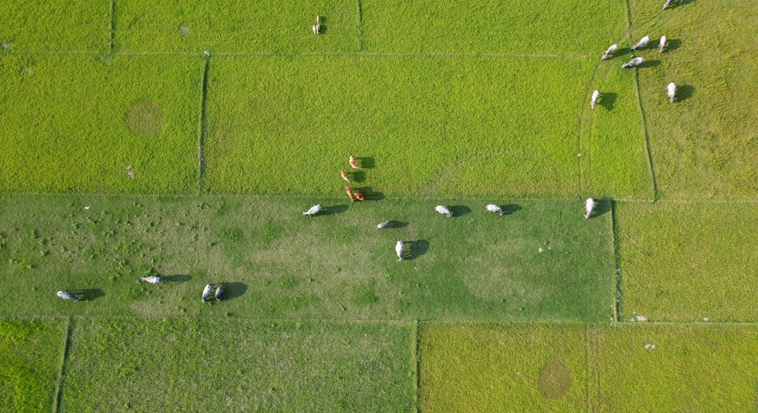 pexels-tkphotos-17811489 pexels-tkphotos-17811489