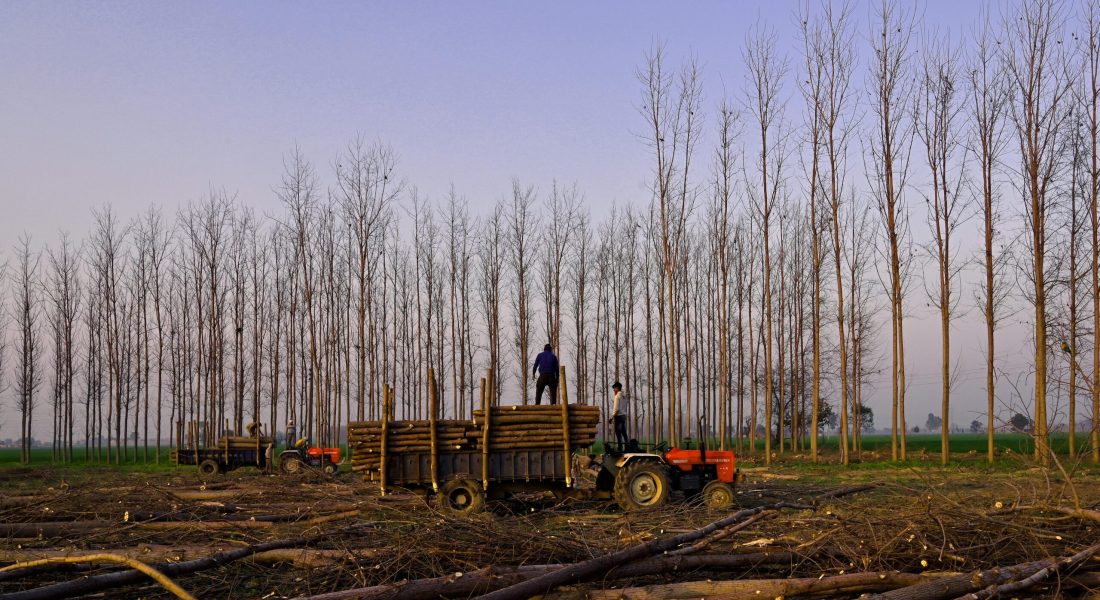 pexels-tladifotografi-4842418 pexels-tladifotografi-4842418