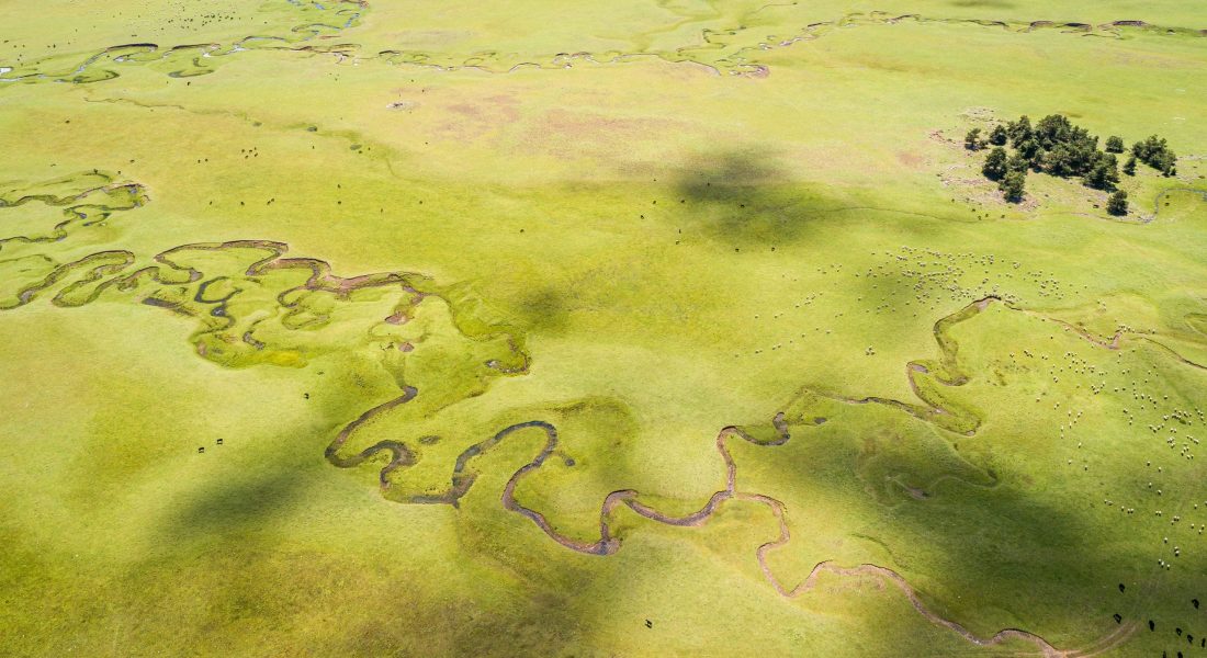 robert-seidel-Q3Z8YL-up-E-unsplash robert-seidel-Q3Z8YL-up-E-unsplash