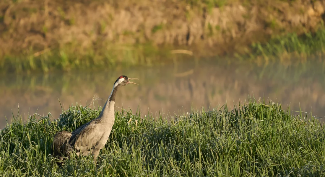 Wolfgang Hasselmann - Fpis2sKIDAQ - Unsplash