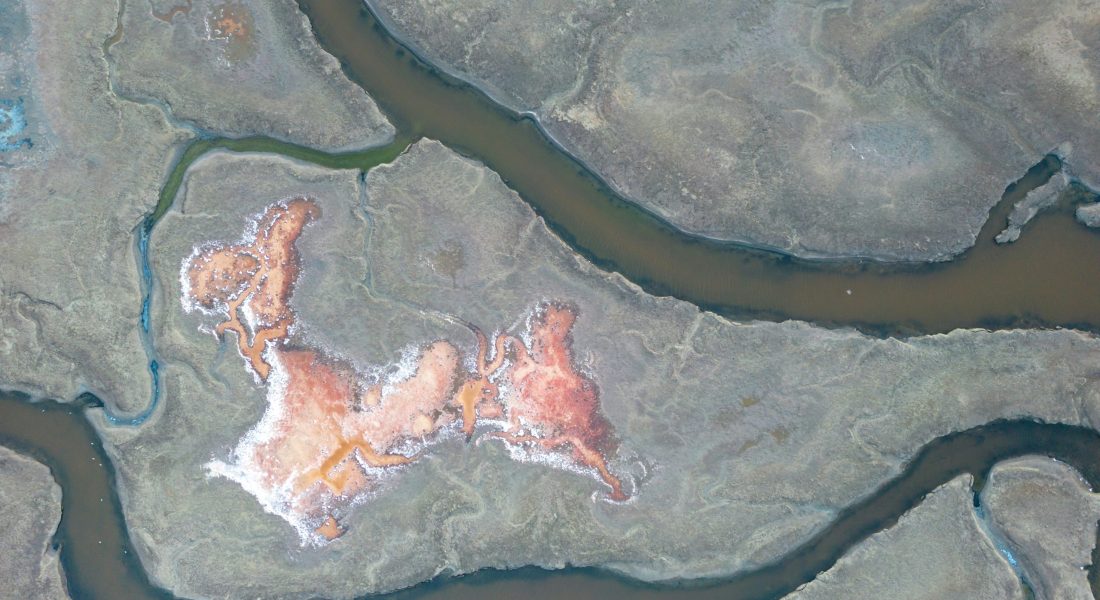 zetong-li-wwX8a_4n1io-unsplash zetong-li-wwX8a_4n1io-unsplash